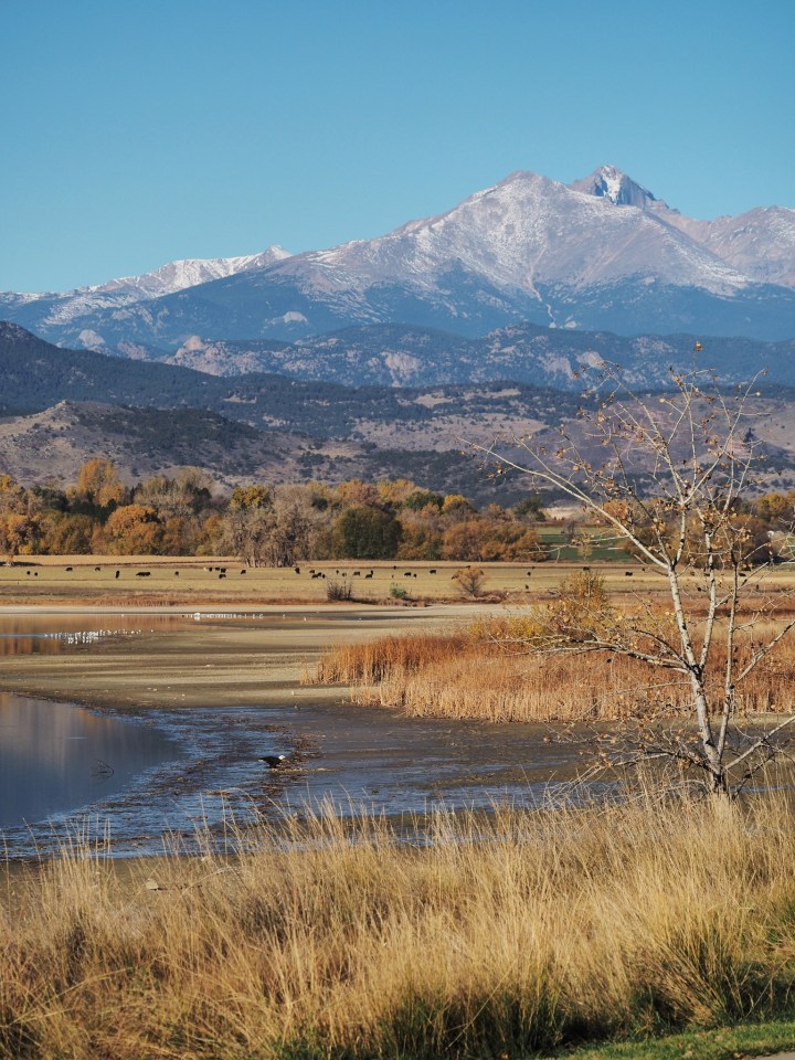 The Mountain and the Eagle